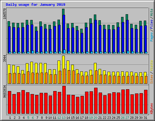 Daily usage for January 2019