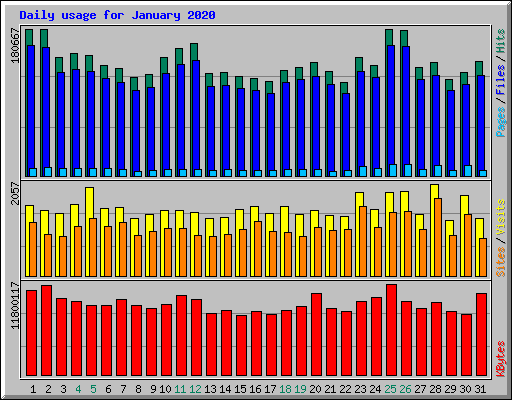 Daily usage for January 2020