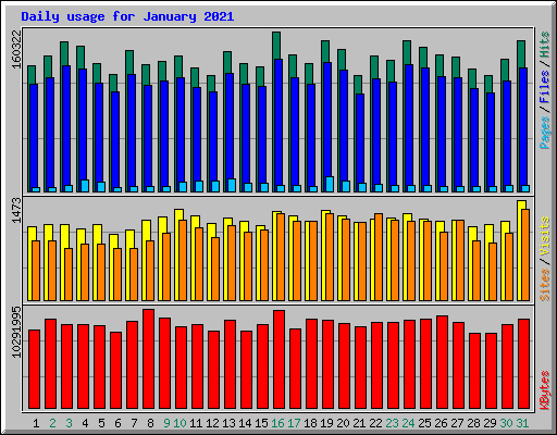 Daily usage for January 2021