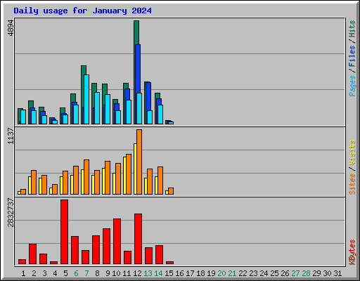 Daily usage for January 2024