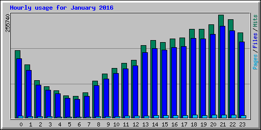 Hourly usage for January 2016