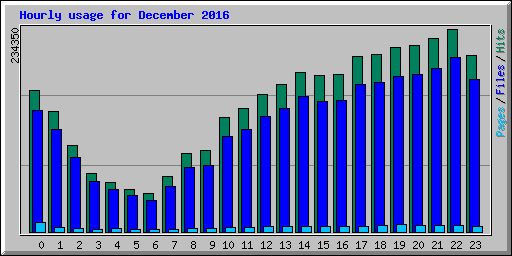 Hourly usage for December 2016