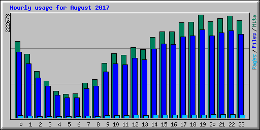 Hourly usage for August 2017