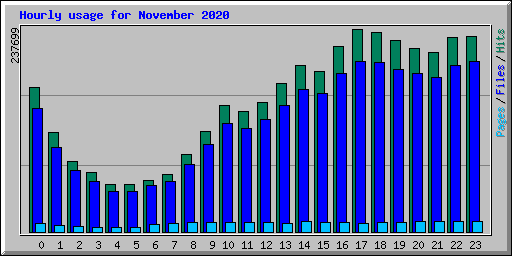 Hourly usage for November 2020