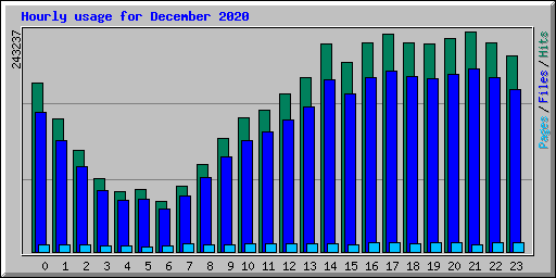 Hourly usage for December 2020