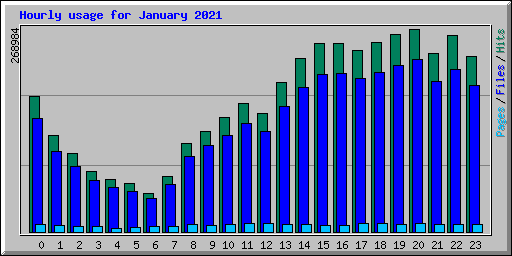 Hourly usage for January 2021