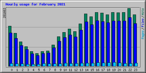 Hourly usage for February 2021