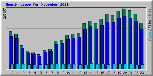 Hourly usage for November 2021