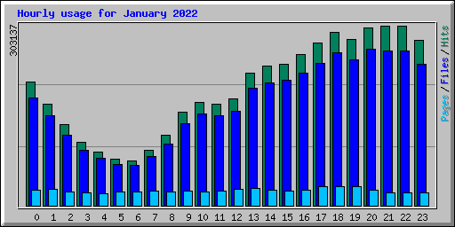 Hourly usage for January 2022