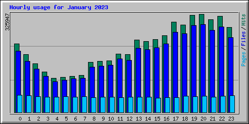 Hourly usage for January 2023