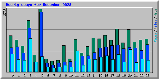 Hourly usage for December 2023