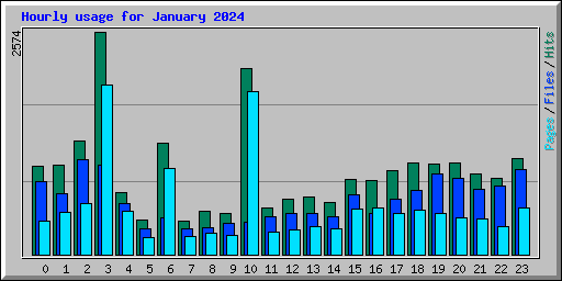 Hourly usage for January 2024