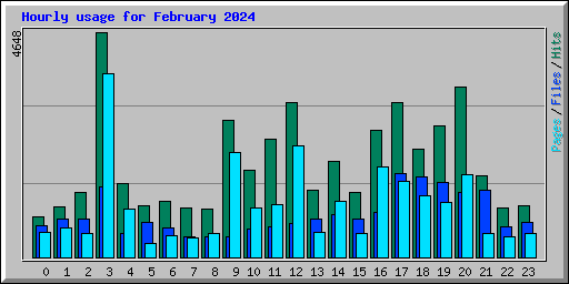 Hourly usage for February 2024