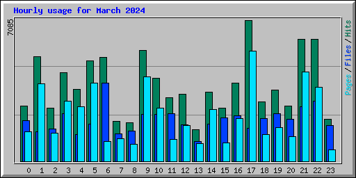 Hourly usage for March 2024